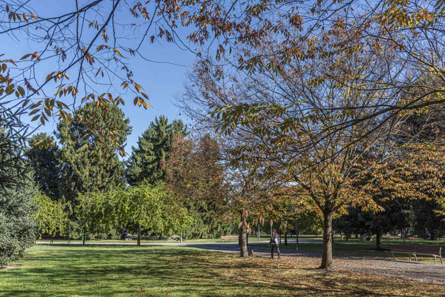 Pamplona 100 - Ciudadela.jpg